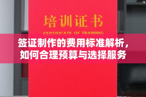 淇滨签证制作的费用标准解析，如何合理预算与选择服务