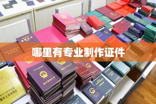 淇滨哪里有专业制作证件